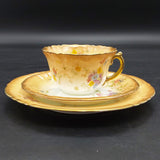 William A Adderley - Spray No 90 - 19-piece Tea Set