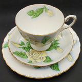 Tuscan - Hawaiian Flowers: Gardenia - Trio
