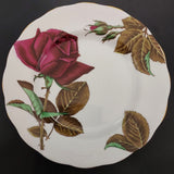 Royal Standard - English Rose - Trio B