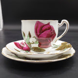Royal Standard - English Rose - Trio A