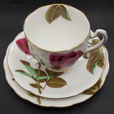 Royal Standard - English Rose - Trio A