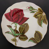Royal Standard - English Rose - Trio A