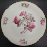 Westminster - White and Pink Roses, 1501 - Cake Plate