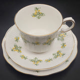 Queen's Rosina - Spring Flowers, Laburnum - Trio
