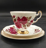 Adderley - Red Roses with Pastel Rim, Peach - Trio