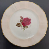 Adderley - Red Roses with Pastel Rim, Peach - Trio