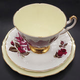 Adderley - Red Roses with Pastel Rim, Yellow - Trio