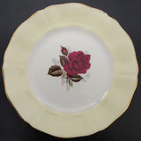 Adderley - Red Roses with Pastel Rim, Yellow - Trio