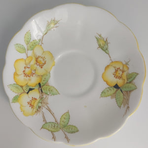 Royal Albert - Wild Rose, Yellow - Saucer