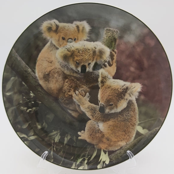 Royal Doulton - D6424 Koala Bears - Picture Plate