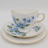 Queen Anne - 8466 Blue Flowers - 21-piece Tea Set