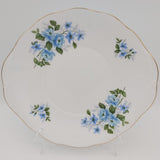 Queen Anne - 8466 Blue Flowers - 21-piece Tea Set
