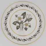 Royal Worcester - Bernina - Cake Plate