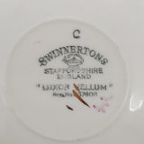 Swinnertons - Multicolour Daisies - Saucer