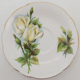 Paragon - Wheatcroft Roses: Virgo - Saucer