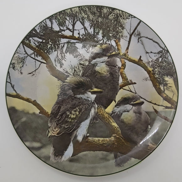Royal Doulton - D6426 Young Kookaburras - Photo Plate