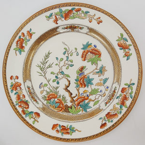 Spode - India Tree - Luncheon Plate