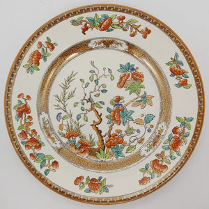 Spode - India Tree - Dinner Plate