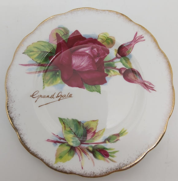 Roslyn - Wheatcroft Roses, No 2 Grand Gala - Small Plate