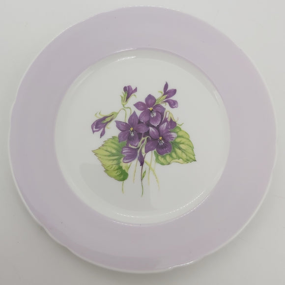 Shelley - Violets, 13735 - Side Plate