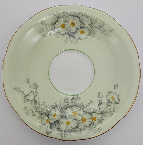 Aynsley - C1619 Dianthus on Pale Green - Saucer