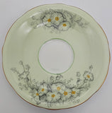 Aynsley - C1619 Dianthus on Pale Green - Saucer