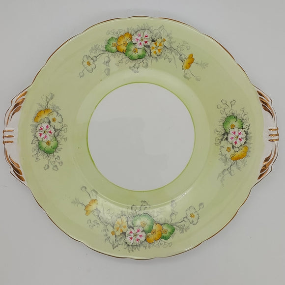 Aynsley - B4766 Colourful Dianthus on Mint Green - Cake Plate