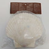Genuine Sea Shell - Set of 6 Baking Shells and Cocktail Forks in Unopened Packet