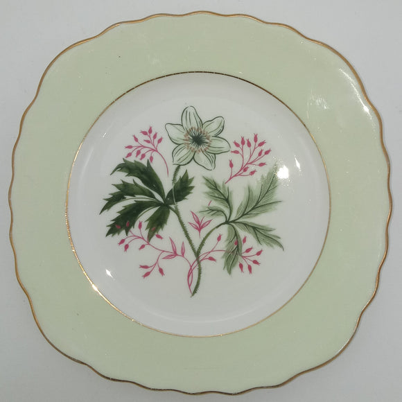 Colclough - White Flower with Green Band - Side Plate