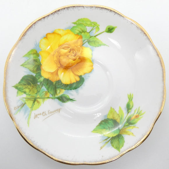 Roslyn - Wheatcroft Roses, No 4 Mme Ch Sauvage - Saucer