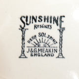 J & G Meakin - Floral Sunrise - Platter, Small