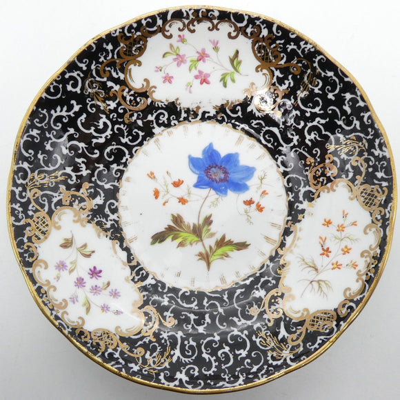 Unknown Maker - Blue Flower with Black Lace Rim - Saucer