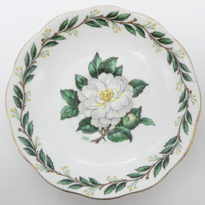 Royal Albert - Lady Clare - Saucer