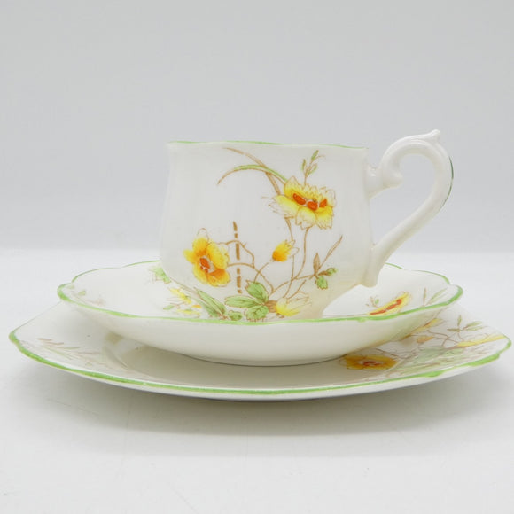 Royal Albert - Merryvale - Trio