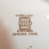 Spode - Spring Time - Salad Plate