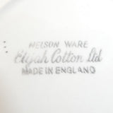 Nelson Ware - Westward Ho - Small Bowl
