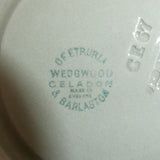 Wedgwood - Celadon - Demitasse Saucer