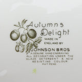 Johnson Brothers - Autumn's Delight - Dinner Plate