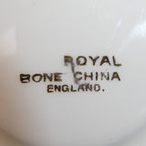 Royal Bone China - 3519 Gold Filigree on White - Duo