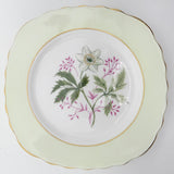 Colclough - White Flower with Green Band - Trio